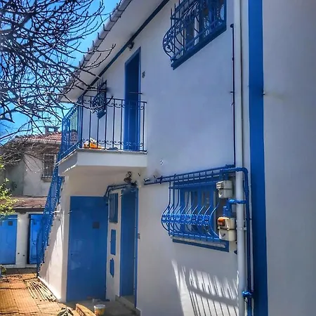 5 Star Luxury Private Detached House&private Garden&bbq Villa Istambul